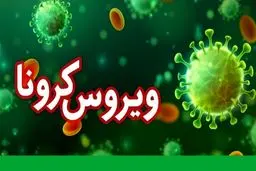 آخرین آمار کرونا در ایران؛ شناسایی 2346 بیمار جدید مبتلا به کووید۱۹ + جزئیات