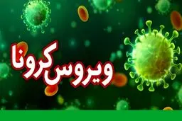 آخرین آمار کرونا در ایران؛ شناسایی 2346 بیمار جدید مبتلا به کووید۱۹ + جزئیات