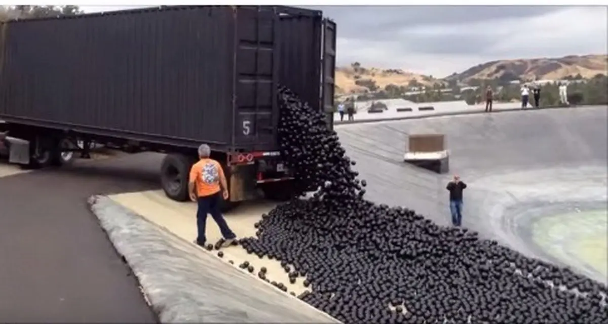 ابتکار در آمریکا برای مقابله با کم آبی(عکس)