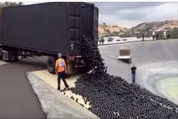 ابتکار در آمریکا برای مقابله با کم آبی(عکس)