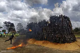 آتش زدن سلاح های غیرقانونی در کنیا/تصاویر