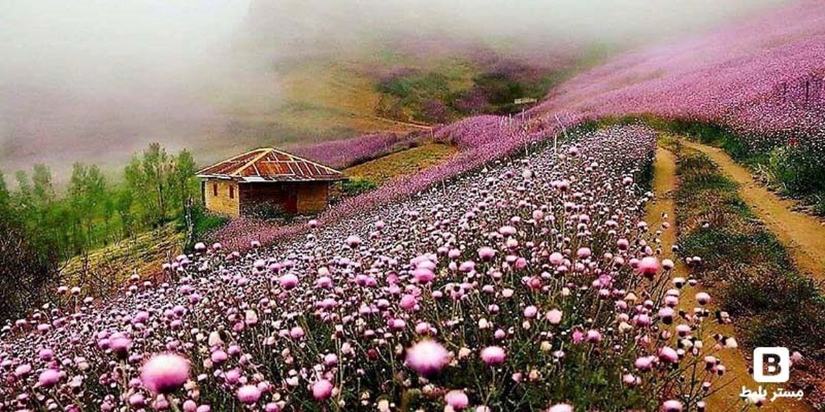 لیست اماکن دیدنی گیلان