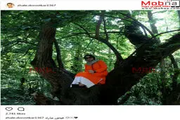 پوشش نارنجی و ژست جالب ژاله درستکار، بالای درخت/ عکس