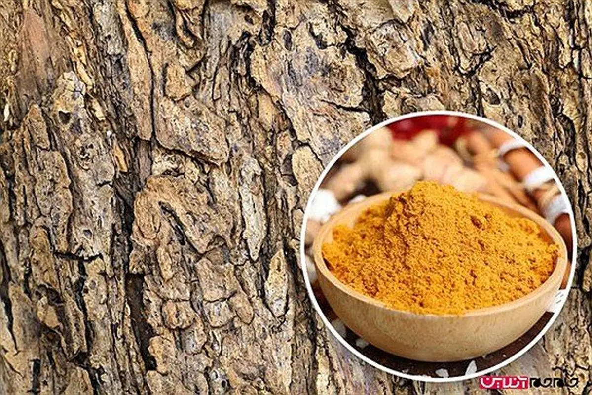 عجیب ترین چیزهای که نمی دانستید قابل خوردن هستند