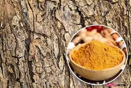 عجیب ترین چیزهای که نمی دانستید قابل خوردن هستند