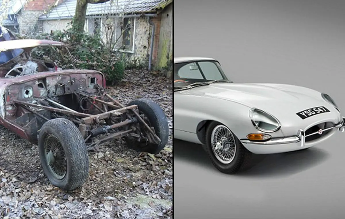 3000 ساعت تلاش برای تولد جگوار 55 ساله+عکس