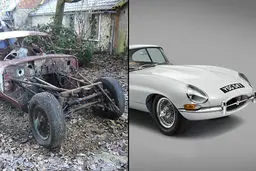 3000 ساعت تلاش برای تولد جگوار 55 ساله+عکس