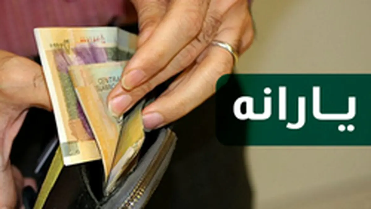 یارانه‌ پولدارها نصیب چه کسانی می‌شود؟