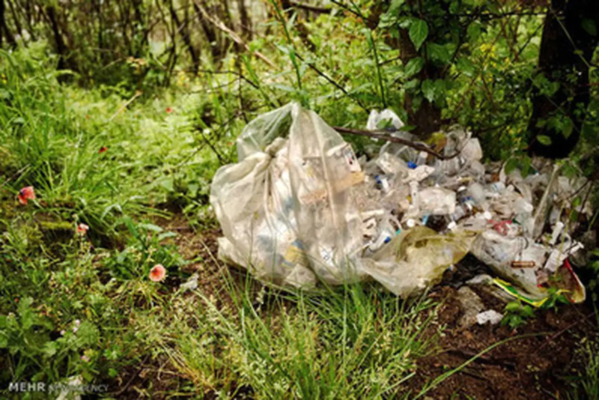 فاجعه رهاسازی زباله‌ های عفونی در طبیعت/تصاویر