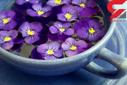 با خوردن این گیاهان بیهوش می شوید!