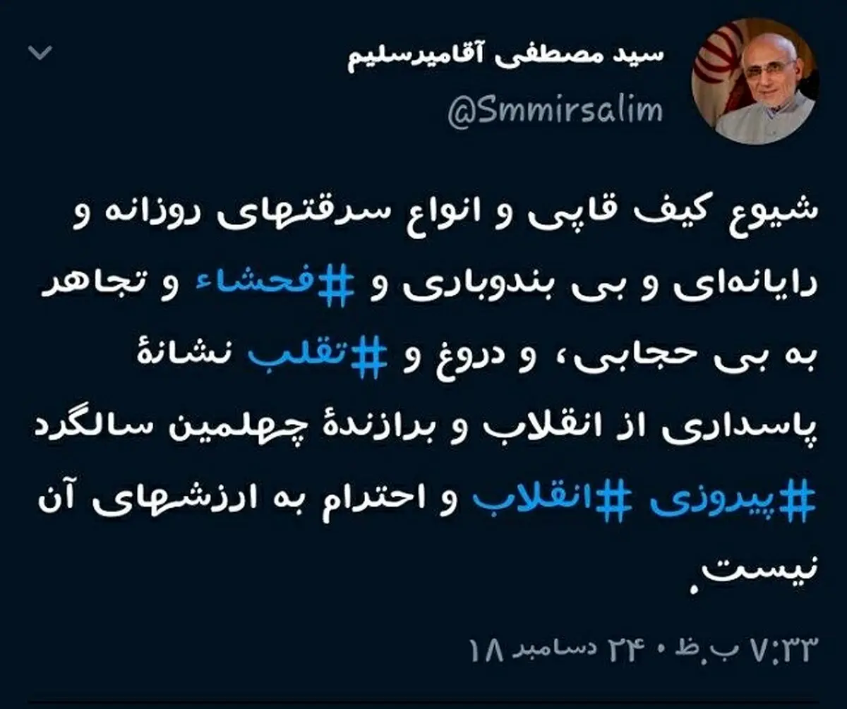 انتقاد میرسلیم از کیف قاپی، فحشا و بی حجابی + متن