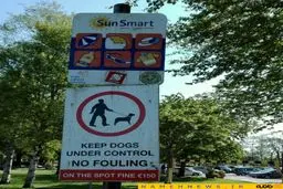 تصویری جالب از جریمه برای رها کردن سگ در محوطه شهر/ عکس