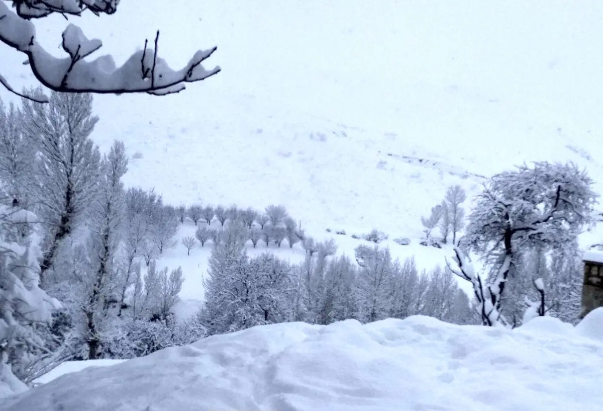 بارش کم سابقه برف در زنجان/ عکس