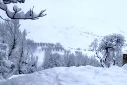 بارش کم سابقه برف در زنجان/ عکس