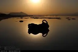 دریاچه ارومیه همچنان در بحران/تصاویر