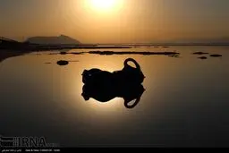 دریاچه ارومیه همچنان در بحران/تصاویر