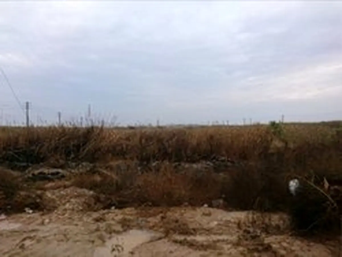 روایت‌های محتاطانه چند شاهد درباره حادثه خونین ماهشهر