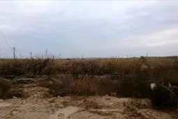 روایت‌های محتاطانه چند شاهد درباره حادثه خونین ماهشهر