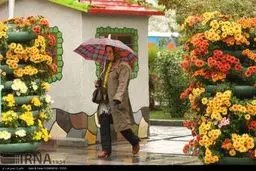 بارش باران در تهران/تصاویر