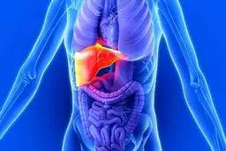 رژیم غذایی مناسب برای بیماران کبد چرب