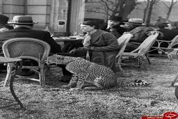 عکس: حيوان خانگی عجيب يک زن در پارک