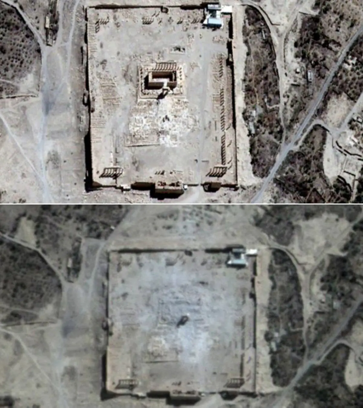 معبد پالمیرا پیش از تخریب داعش/تصاویر