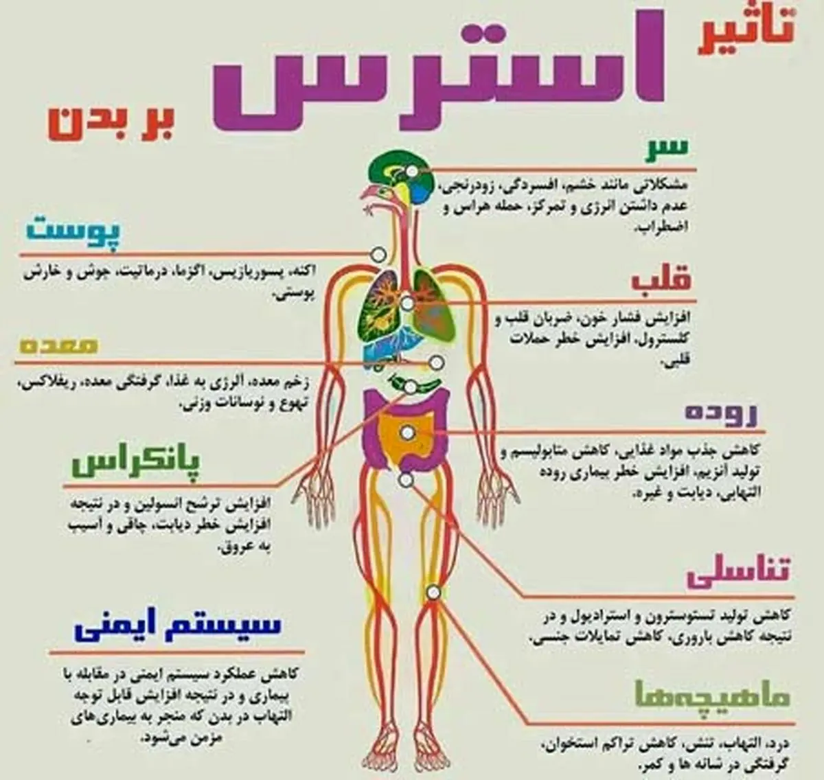 استرس اینگونه بدن را نابود می کند؛عکس