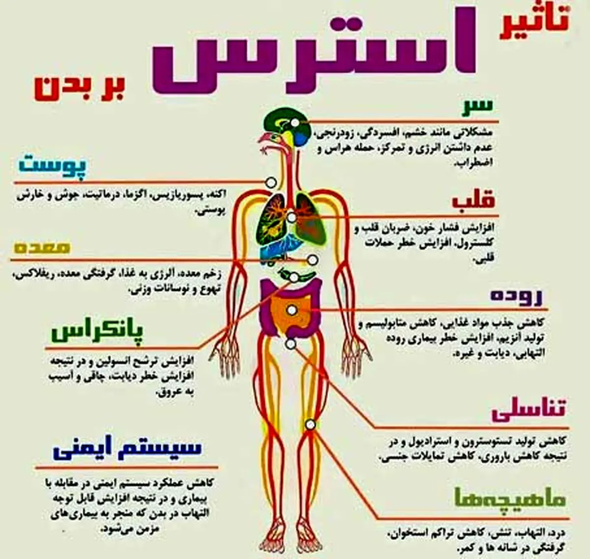استرس اینگونه بدن را نابود می کند؛عکس