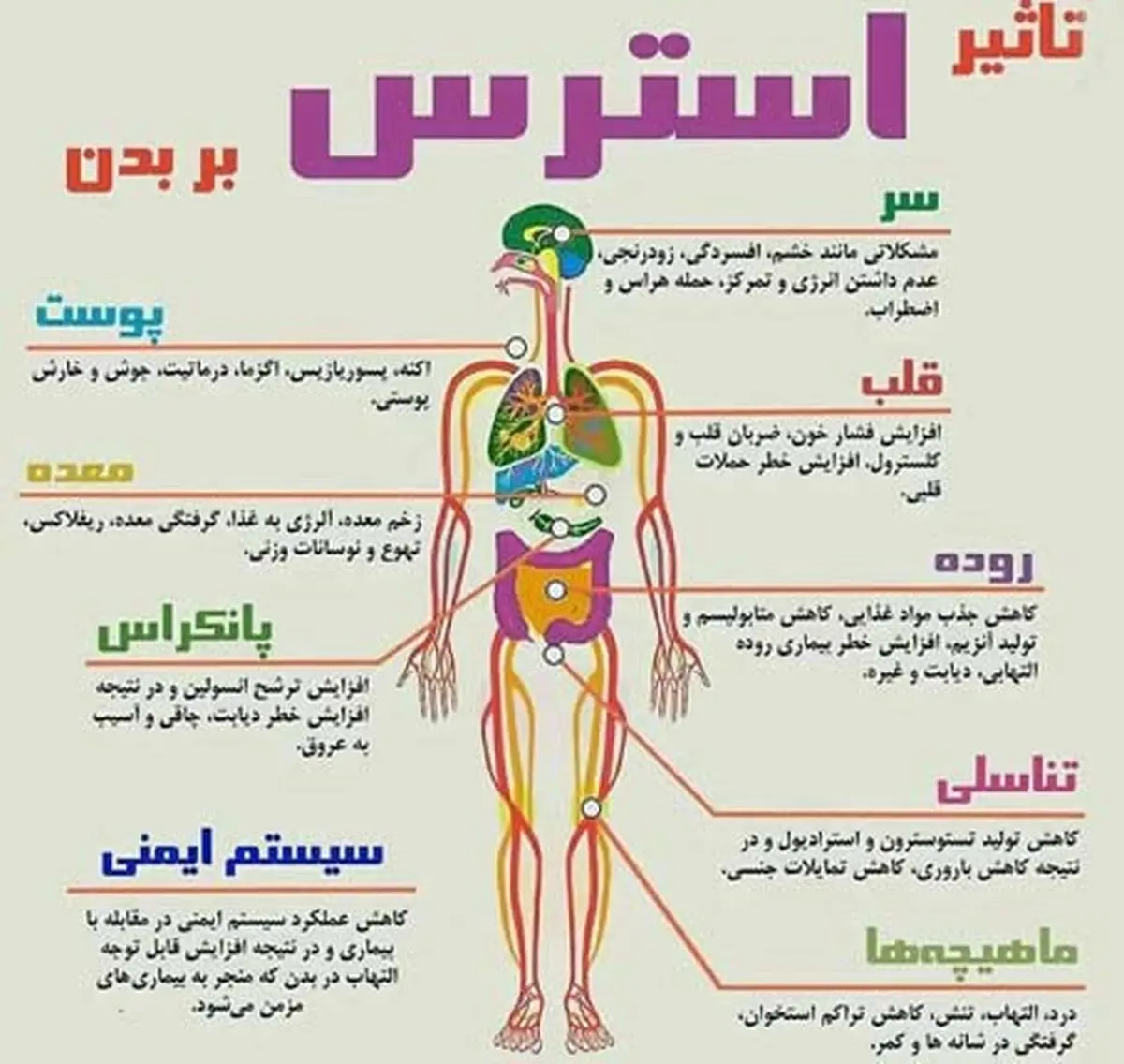 استرس اینگونه بدن را نابود می کند؛عکس