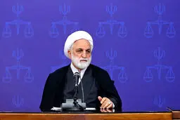 اعلام موضع رئیس قوه قضائیه درباره وکلایی همزمان چندین پرونده را اخذ می‌کنند