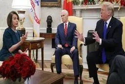 نانسی پلو سی: پیروزی ترامپ غیرممکن است