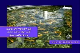 ورق های ژئوممبران بهترین گزینه برای ساخت استخر پرورش ماهی و میگو
