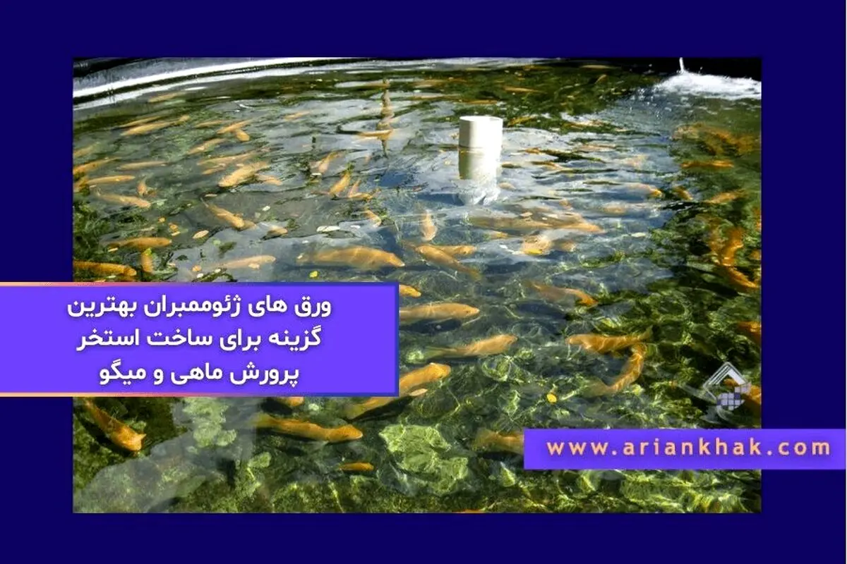 ورق های ژئوممبران بهترین گزینه برای ساخت استخر پرورش ماهی و میگو