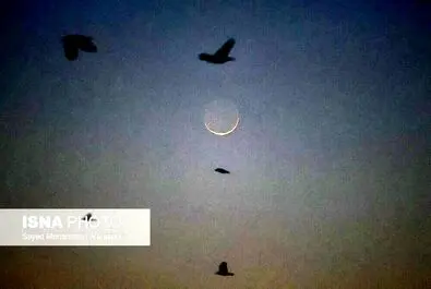 استهلال
