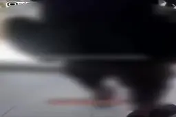 ببینید | جنایت عناصر وابسته به جولانی در سویداء