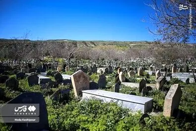 گورستان سفیدچاه