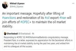پاسخ توئیتری نماینده روسیه به سفیر ایران درباره نفت