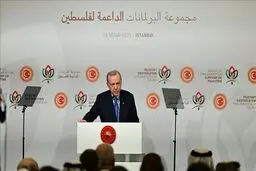 اردوغان: باید جلوی دیوانگی کابینه نتانیاهو گرفته شود