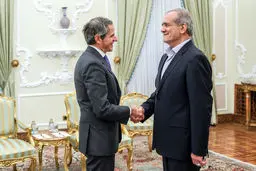 گروسی دوباره در تهران