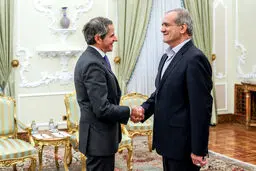 گروسی دوباره در تهران