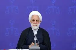 واکنش اژه ای به فرآیند محاکمه دو وزیر دولت شهید رئیسی 