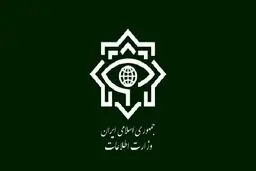معاون وزیر اطلاعات: فضای مجازی، بلای خانمان سوز است