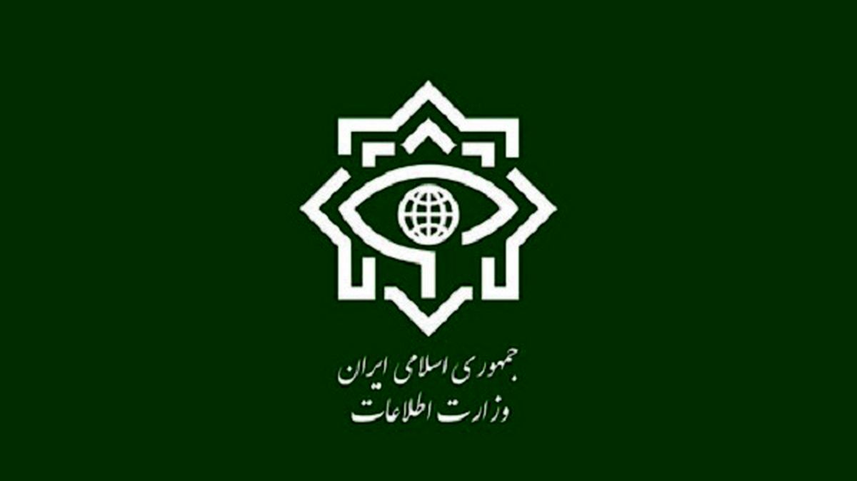 معاون وزیر اطلاعات: فضای مجازی، بلای خانمان سوز است
