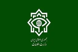 معاون وزیر اطلاعات: فضای مجازی، بلای خانمان سوز است