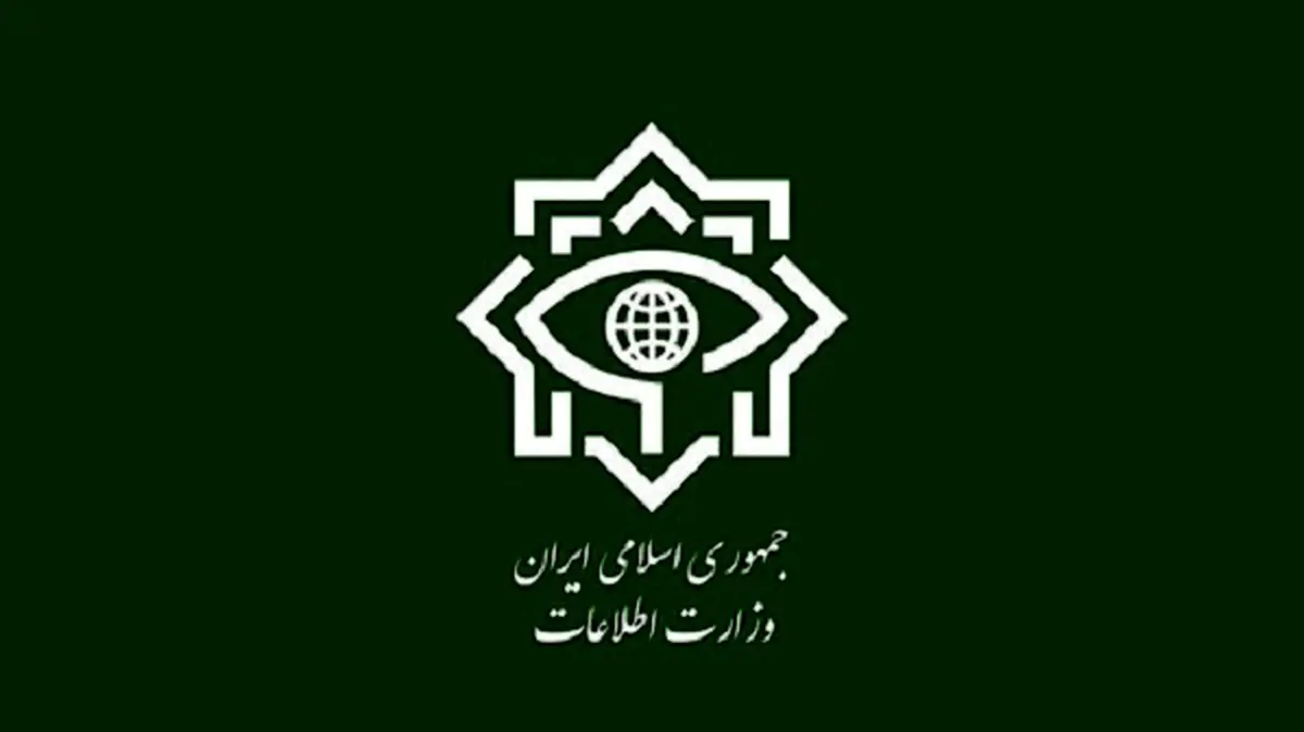 معاون وزیر اطلاعات: فضای مجازی، بلای خانمان سوز است