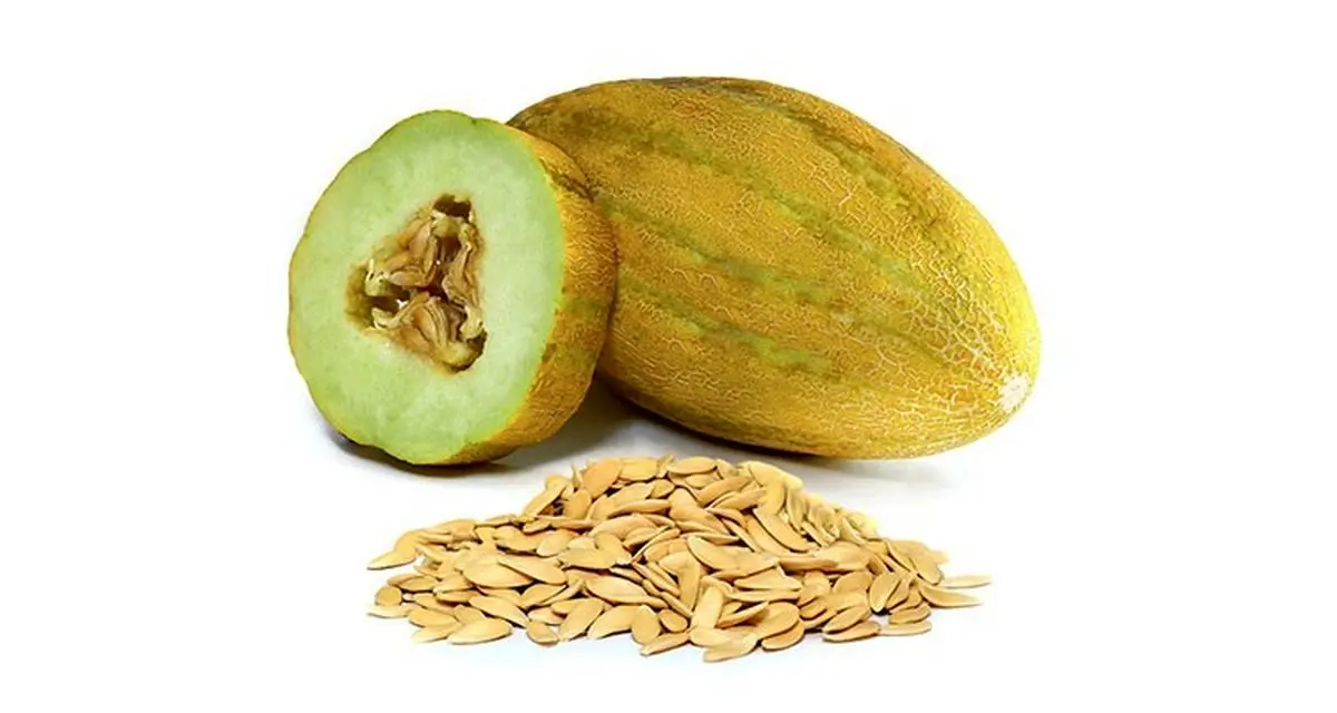 بهترین روش خانگی برای از بین بردن سنگ کلیه

