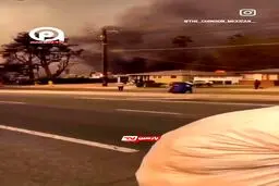 غارت در پس آتش در لس‌آنجلس!