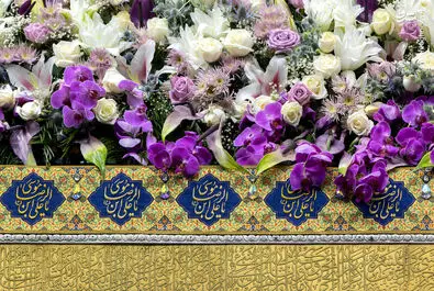 امام رضا(ع)