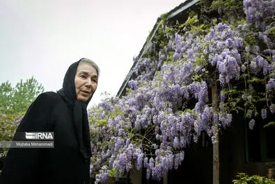 پروانه معصومی