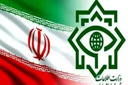 کانال شکار مزدور در مازندران شکار شد + فیلم